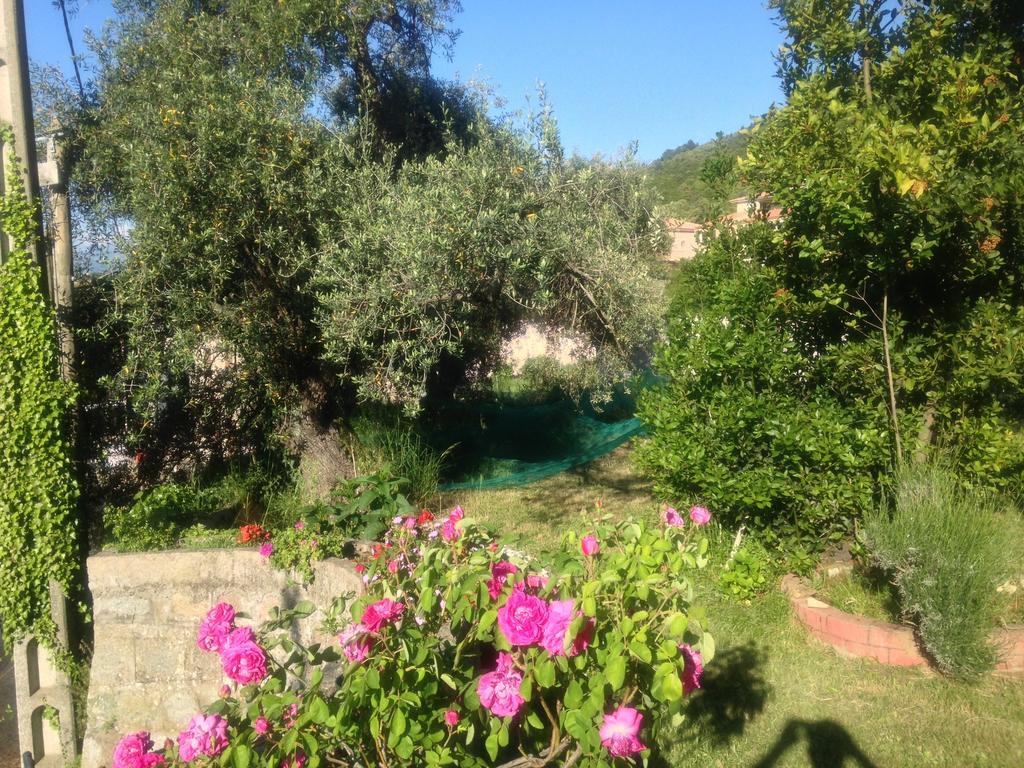 Hotel Les Calanques Piana  Rum bild